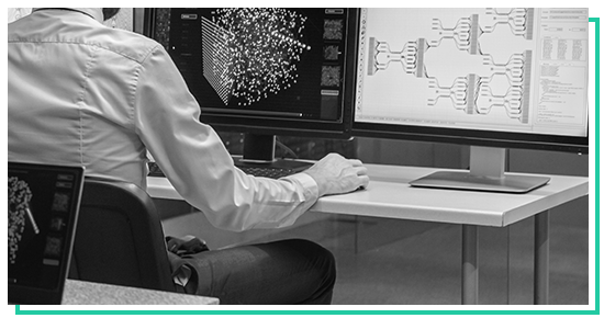 金边数据中心安保系统